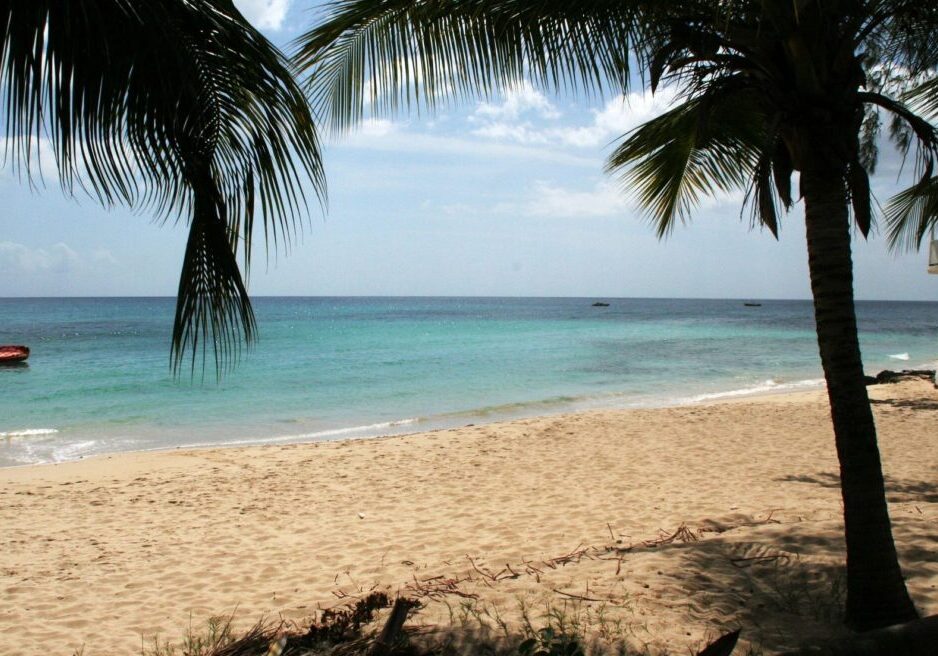 A beach with palm trees and the ocean in the background.